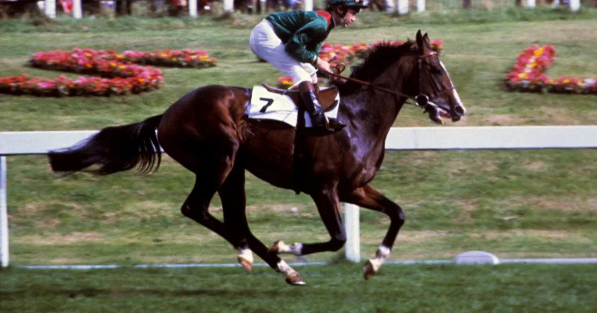 Kidnapping of prized racehorse still unsolved decades after he was taken