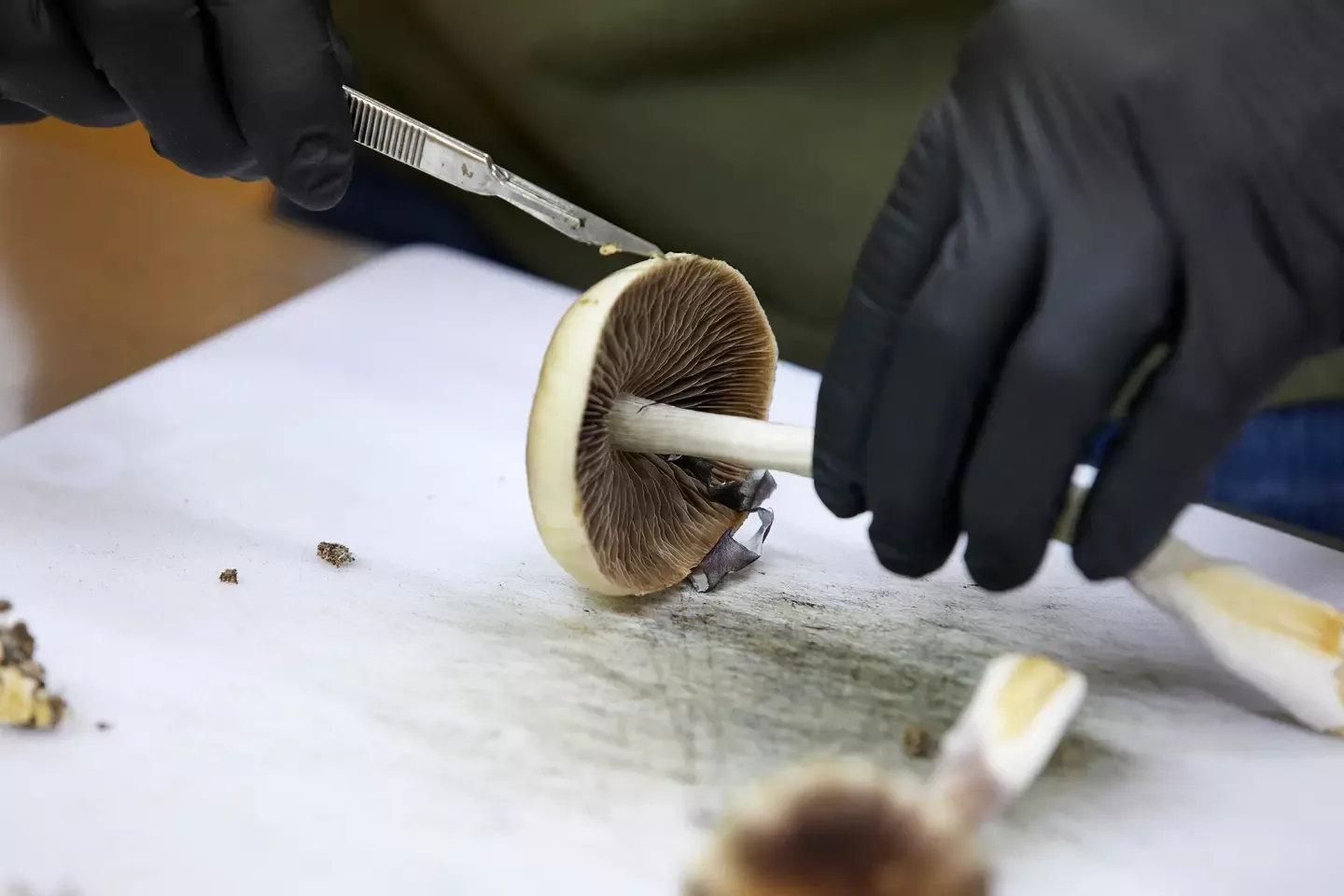 Psychedelic treatments move closer to mainstream at FDA