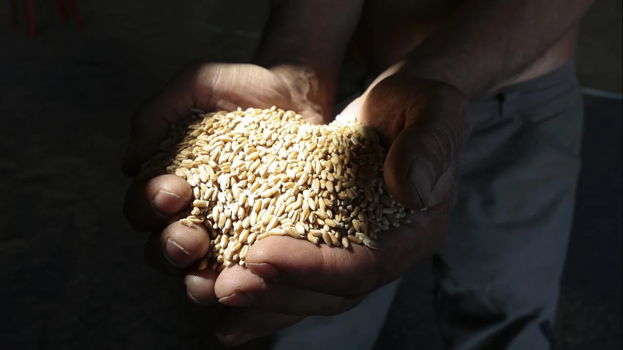 Frontstadt in der Ukraine: "Jetzt beginnt dort echter Hunger"