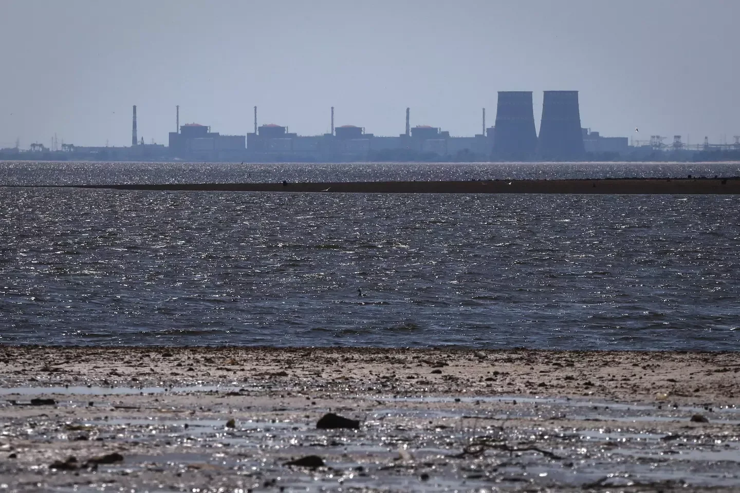 Nuclear plant in occupied Ukraine using emergency generators to cool reactors