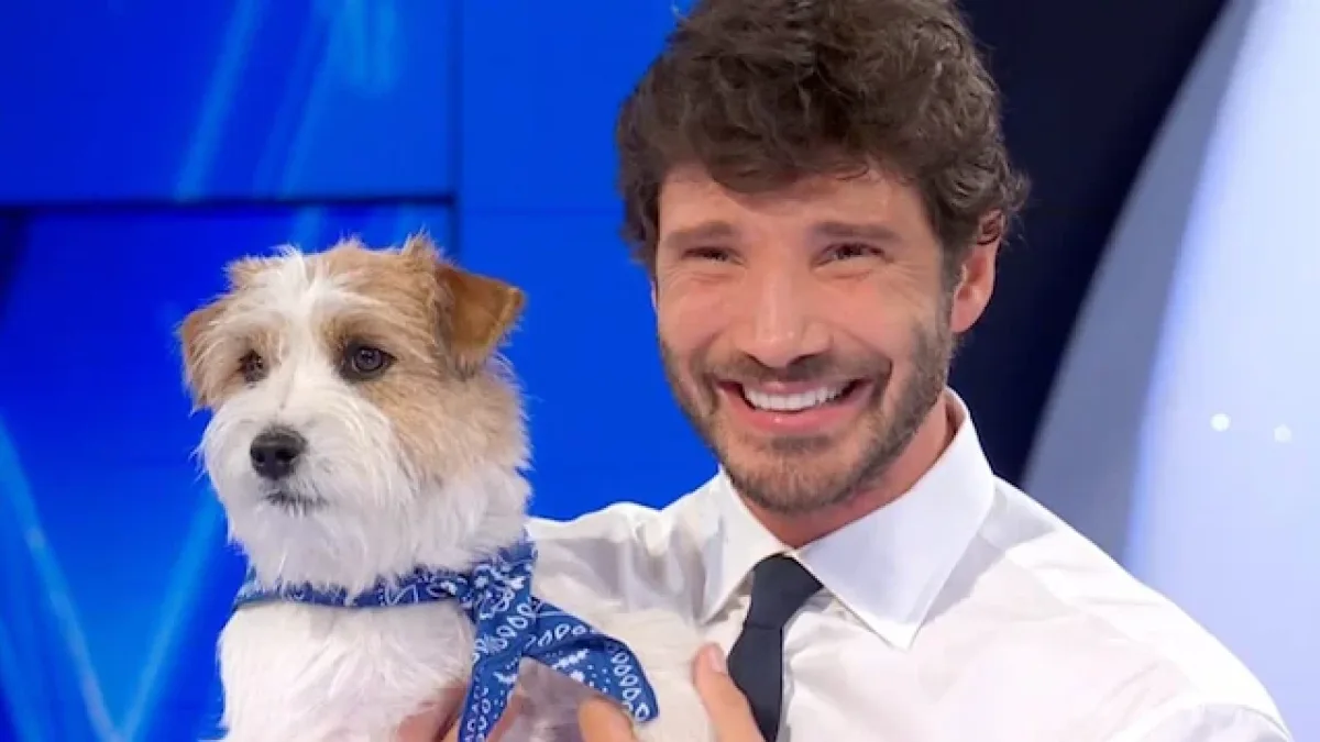 De Martino presenta il nuovo Gennarino: Tommasino è l'erede del cane di Affari Tuoi