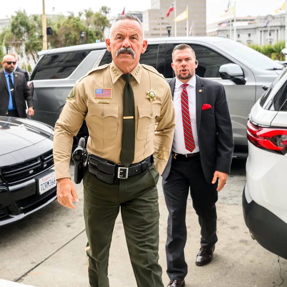 Republican Sheriff Illegally Seized California Ballots, Court Rules