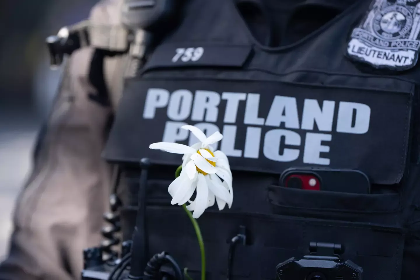Portland women's sports bar clash draws police after 'XX-XY' shirt dispute