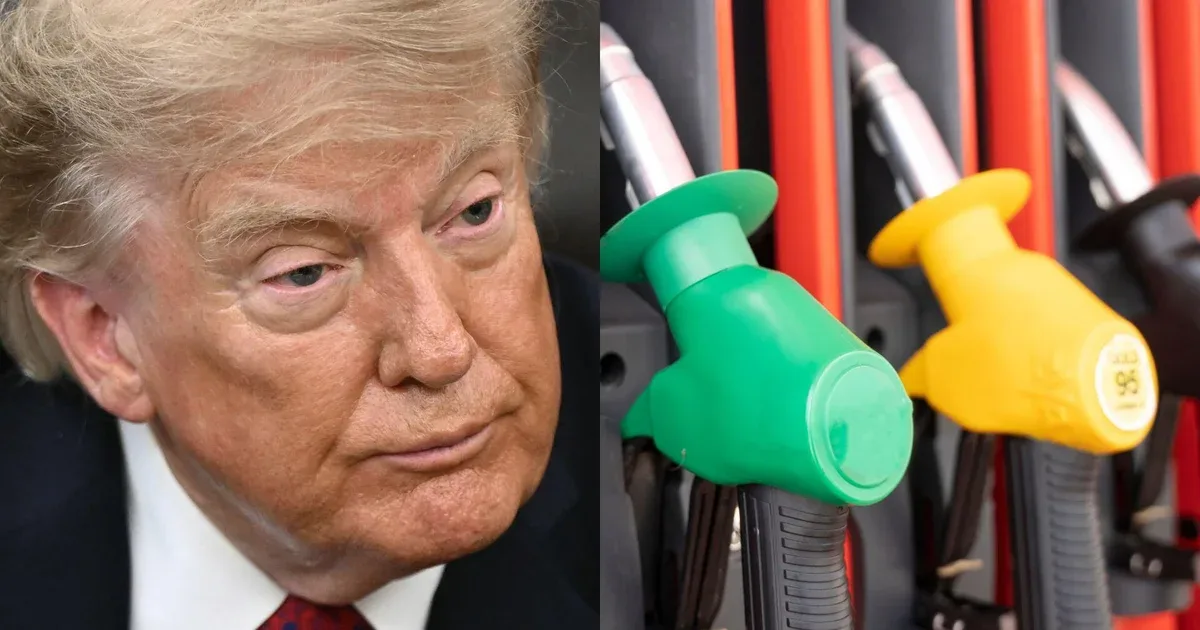 Trump vows soaring oil prices will tumble after midterms