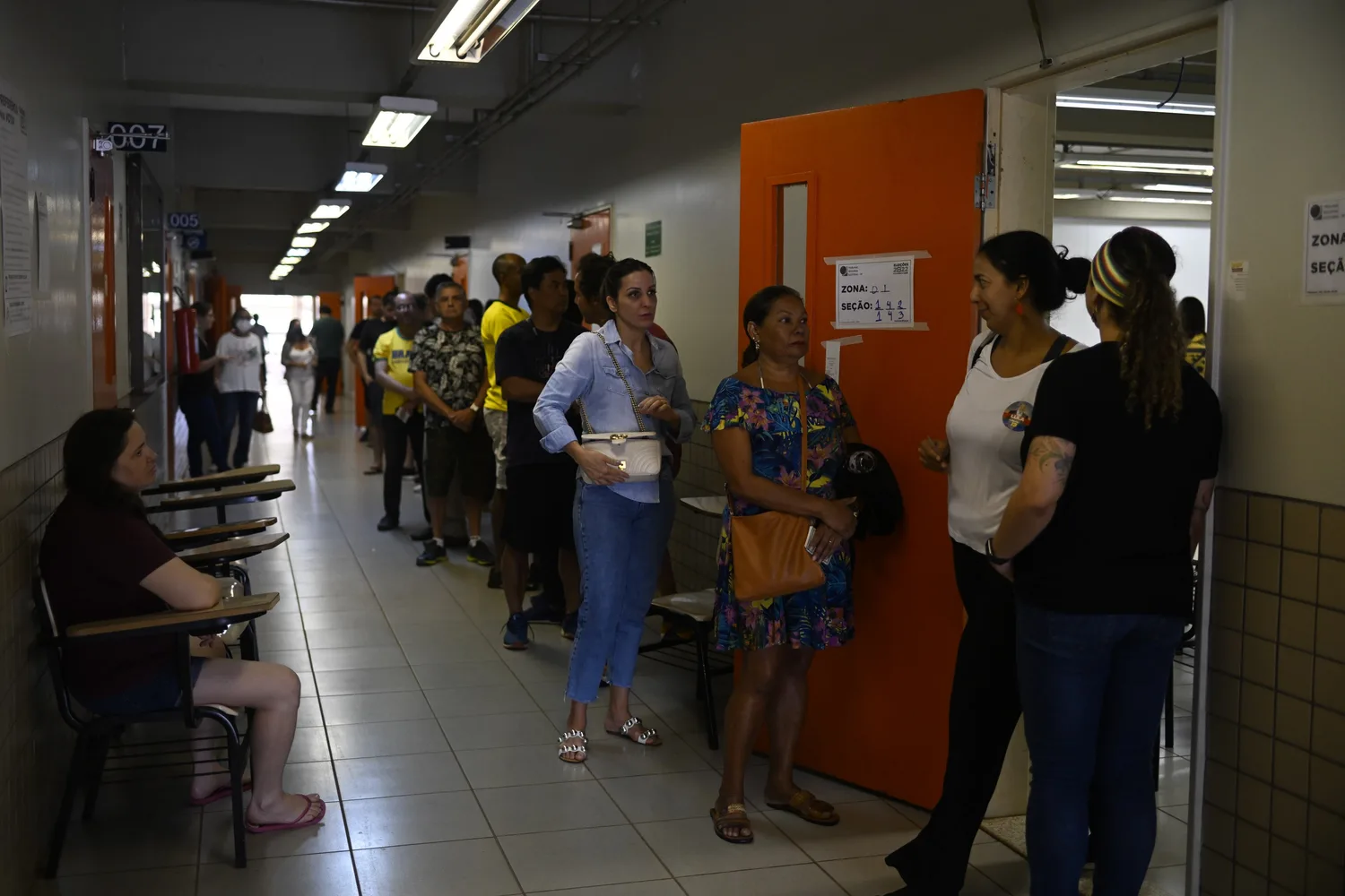 La rinoceronte y el Trump de pega: historias de las elecciones en Brasil